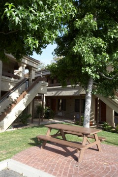 Premier Inns Thousand Oaks - Picnic and BBQ Area